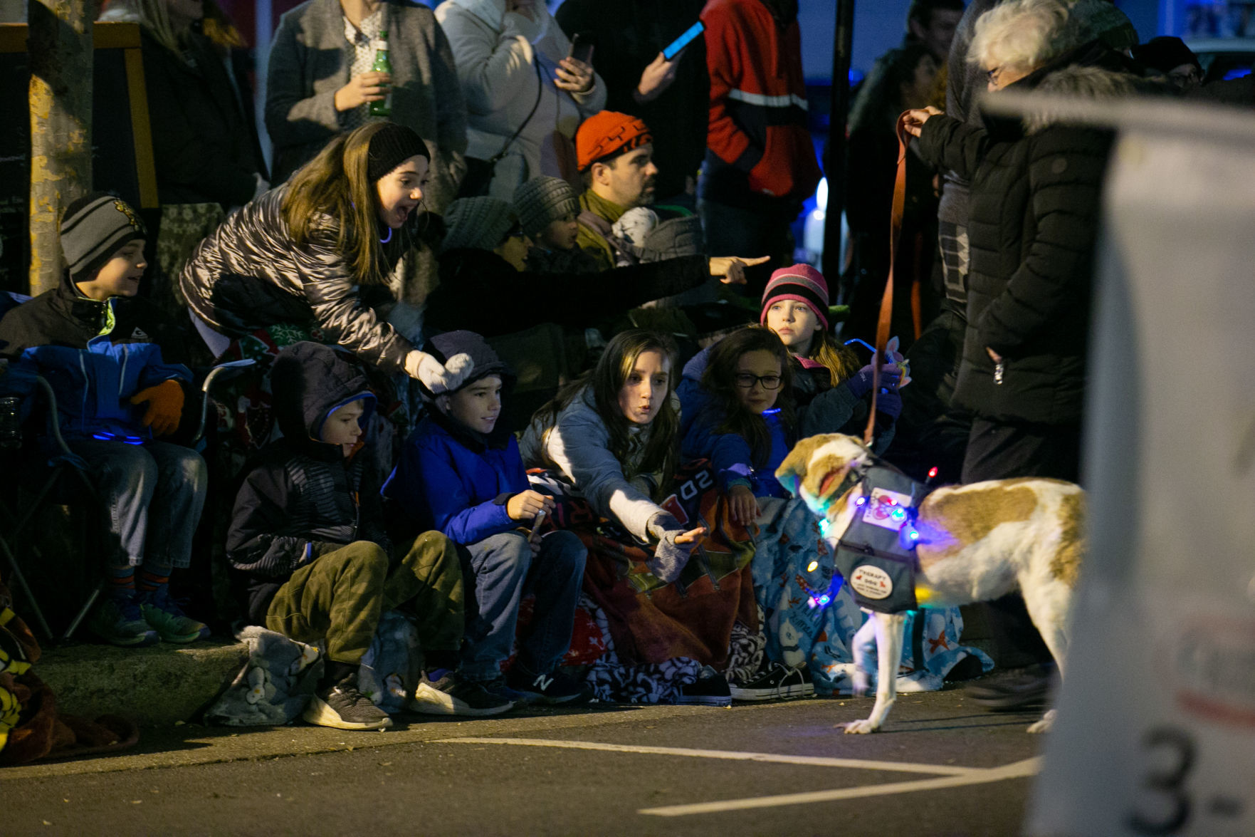Fredericksburg Christmas Parade